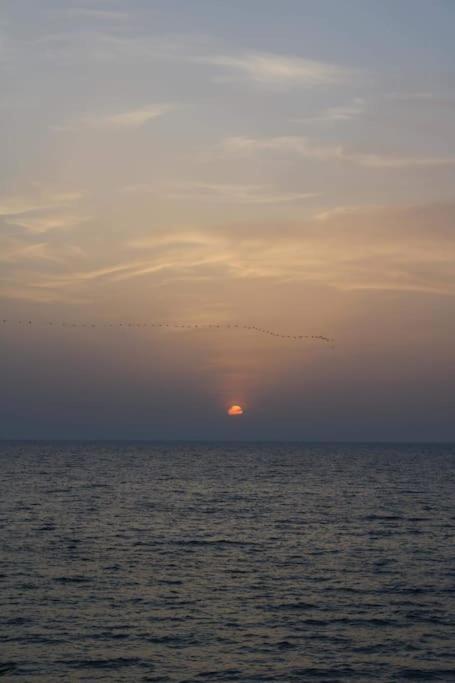 Your ¥achting Apartmán Sousse